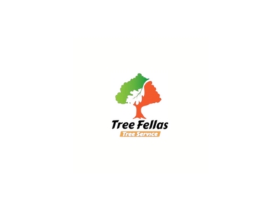 Tree Fellas Reaches 100 Google Reviews Serving Central New Hampshire