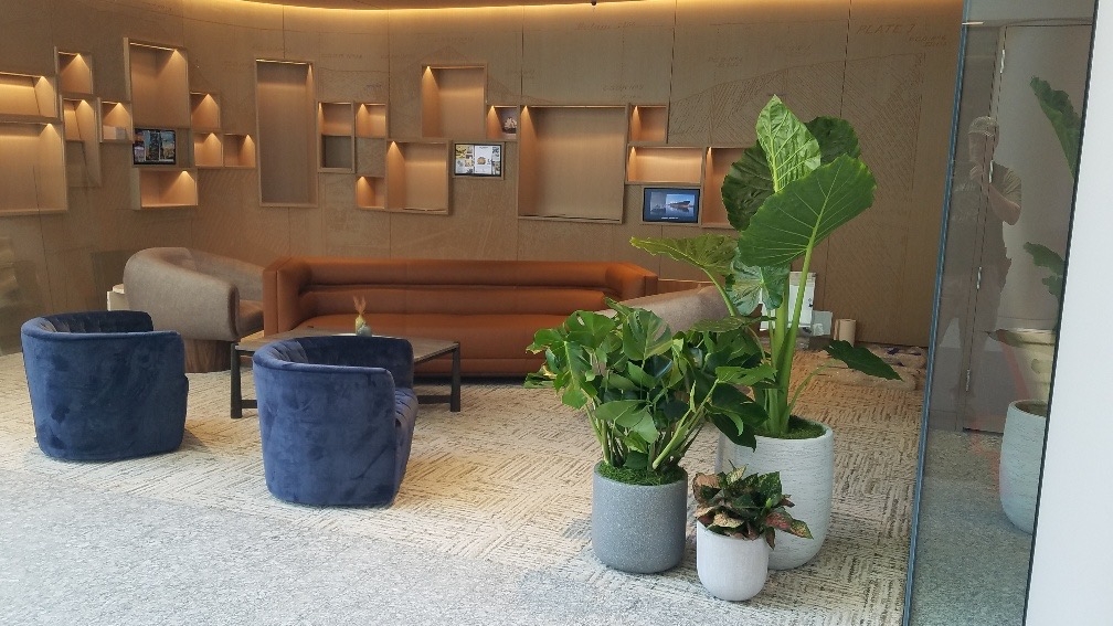 Office Plantscape Services Company in Campbell, CA, Celebrates Four Decades of Transforming Silicon Valley Commercial Workspaces